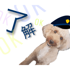 [LINEスタンプ] toichan3