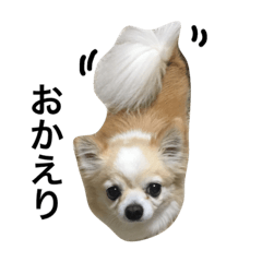 [LINEスタンプ] 我が家のれのん