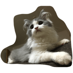 [LINEスタンプ] ノルの絵