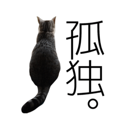 [LINEスタンプ] 愛猫くんサバトラな毎日