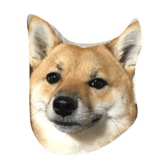 [LINEスタンプ] おひなのスタンプデビュー作