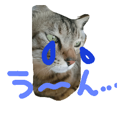 [LINEスタンプ] チャイスタンプ 2