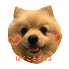 [LINEスタンプ] ころろ