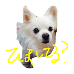 [LINEスタンプ] りぼん
