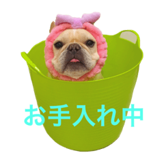 [LINEスタンプ] 肉かつらおじさん♂さくらの日常①
