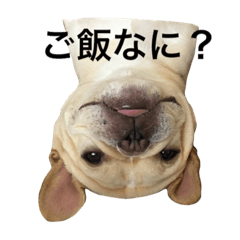 [LINEスタンプ] 肉かつらおじさん♂さくらの日常②