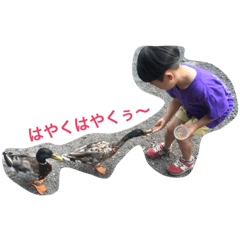 [LINEスタンプ] ティン 1