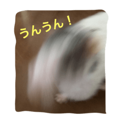 [LINEスタンプ] まめぐれ