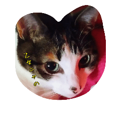 [LINEスタンプ] 猫姫ちゃん