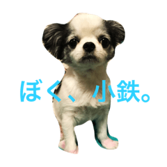 [LINEスタンプ] kotethukun