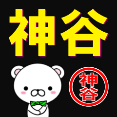 [LINEスタンプ] 超★神谷(かみや・かみたに・かなや)の画像（メイン）