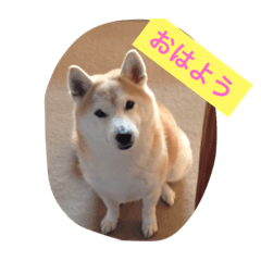 [LINEスタンプ] HANASUN