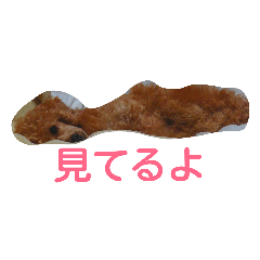[LINEスタンプ] penpenta