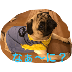 [LINEスタンプ] つなよし