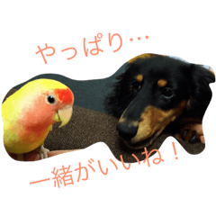 [LINEスタンプ] タラテツ日和
