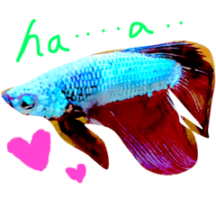 [LINEスタンプ] おばあちゃんの騒ぎ事
