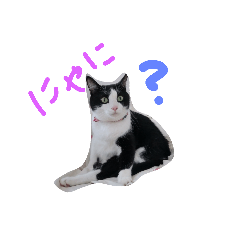 [LINEスタンプ] fu ＆ an