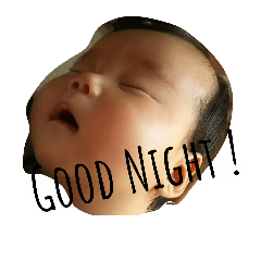 [LINEスタンプ] ふみたんぷ