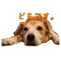 [LINEスタンプ] maruguchipusan2