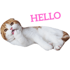 [LINEスタンプ] 音スタンプ