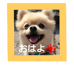 [LINEスタンプ] tarota