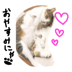 [LINEスタンプ] ykyk