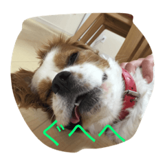[LINEスタンプ] はるひくんとその仲間