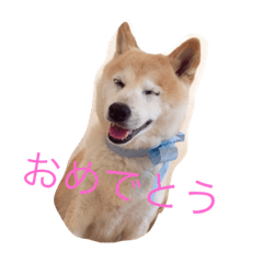 [LINEスタンプ] happy  smile smile