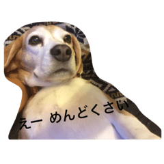 [LINEスタンプ] Y-family