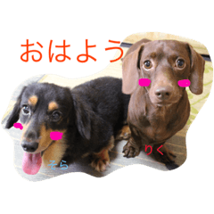 [LINEスタンプ] ダックスフンドのそらとりく