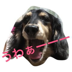 [LINEスタンプ] ぼっくん