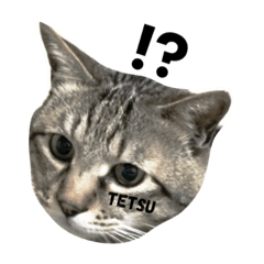 [LINEスタンプ] みやばたけ牧場のあいさつ