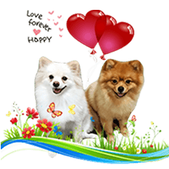 [LINEスタンプ] Pomeranian lover