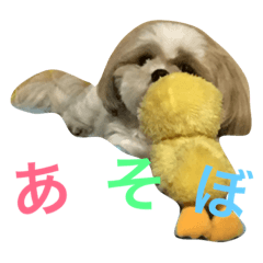 [LINEスタンプ] Ta E Ru To