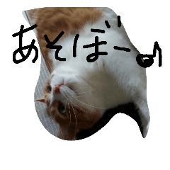 [LINEスタンプ] よこ①