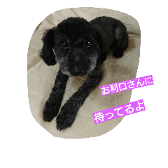 [LINEスタンプ] お利口さんに待ってるよ