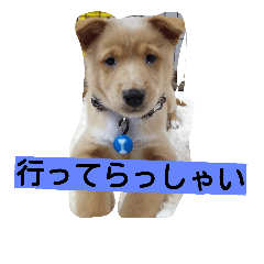 [LINEスタンプ] 福助となかまたち
