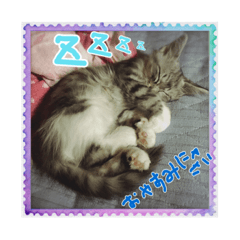 [LINEスタンプ] 我が家のにゃんこーず