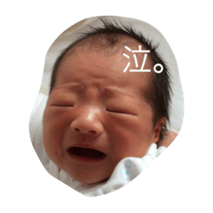 [LINEスタンプ] はると あおい 2