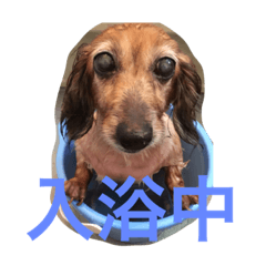 [LINEスタンプ] TEARAMA