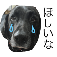 [LINEスタンプ] ぷー吉