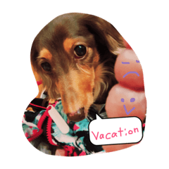 [LINEスタンプ] ウチのわんちゃんの日常生活