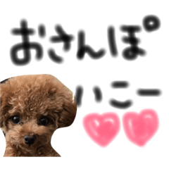 [LINEスタンプ] こちゃひじ