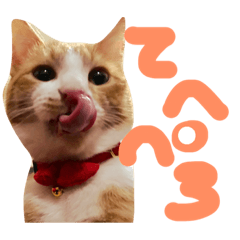 [LINEスタンプ] 茶トラ猫のレオさん