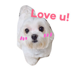 [LINEスタンプ] All about Super