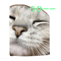 [LINEスタンプ] かいくんの1日 にー