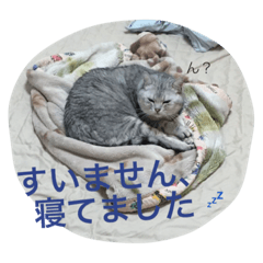 [LINEスタンプ] かいくんの1日 さん