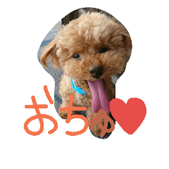 [LINEスタンプ] オチョコ