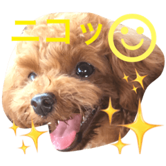 [LINEスタンプ] ニコちゃんの毎日☺︎