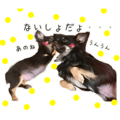[LINEスタンプ] チワワのサスケ＆こはる